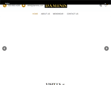 Tablet Screenshot of daminis.com